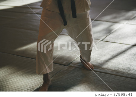 martial artist 27998541