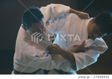 martial artist martial artist 27998930