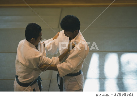 martial artist 27998933
