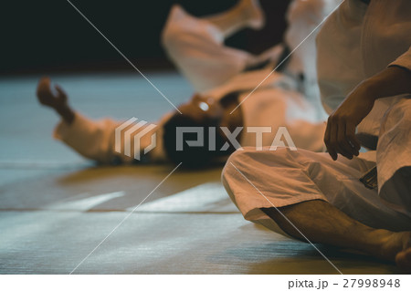 martial artist 27998948