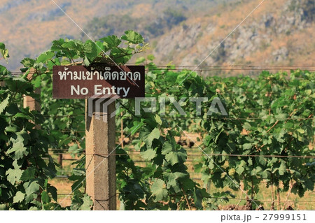 Signs not allowed to enter Signs not allowed to enter 27999151