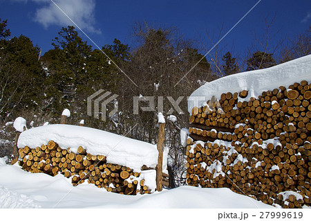 雪積もったカラマツの丸太 27999619