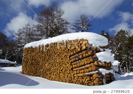 雪積もったカラマツの丸太 27999620
