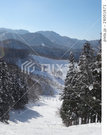 水上高原藤原スキー場　縦 28001671