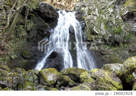 遊女の滝（小山町） 28002928