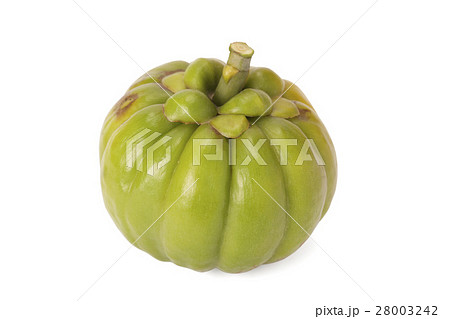 Garcinia Cambogia Garcinia Cambogia 28003242
