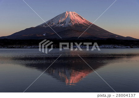 精進湖より厳冬期の紅富士 28004137