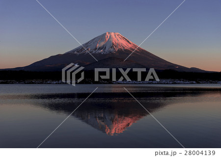 精進湖より厳冬期の紅富士 精進湖より厳冬期の紅富士 28004139