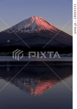 精進湖より厳冬期の紅富士 28004141