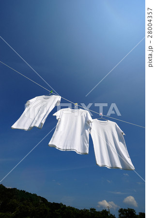 青空に干された白いTシャツ 28004357