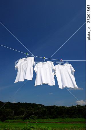 青空に干された白いTシャツ 28004363