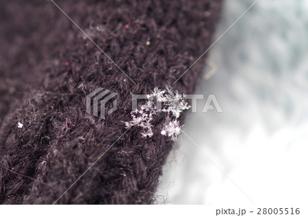 雪の結晶 28005516