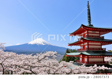 富士山と五重塔と春の風景 富士山と五重塔と春の風景 28007373