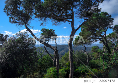 Fascinating view from Tibidabo mountain near 28007478