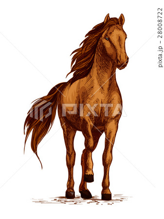 Arabian brown horse stomping hoof vector sketch Arabian brown horse stomping hoof vector sketch 28008722