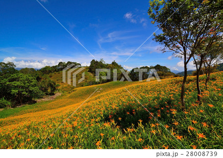 Baiyun blue sky with the mountain slopes of orange Baiyun blue sky with the mountain slopes of orange 28008739