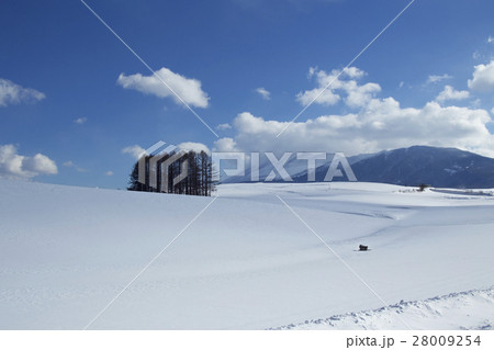 嬬恋と浅間山　雪景色 28009254