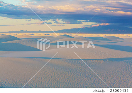 White sands 28009455