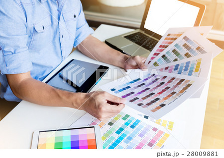interior design or graphic designer renovation  28009881