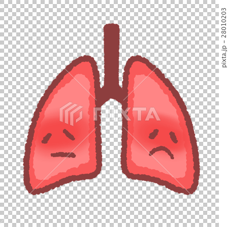 Inflamed lung Inflamed lung 28010203