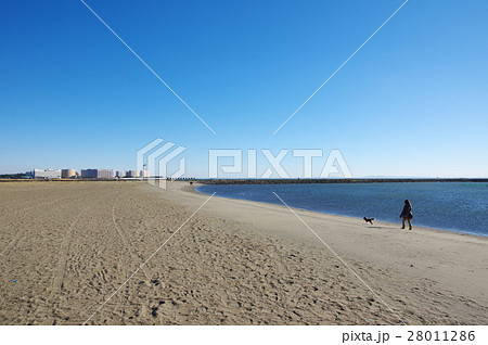 冬晴れの葛西海浜公園（東京都江戸川区） 28011286