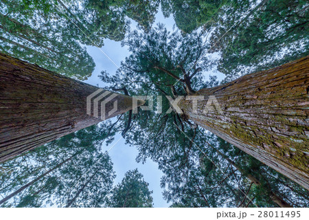 恵那神社 28011495
