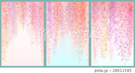 Spring background with blooming wisteria Spring background with blooming wisteria 28011585