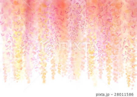 Spring background with blooming wisteria Spring background with blooming wisteria 28011586