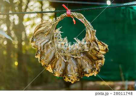 dried fish dried fish 28011748