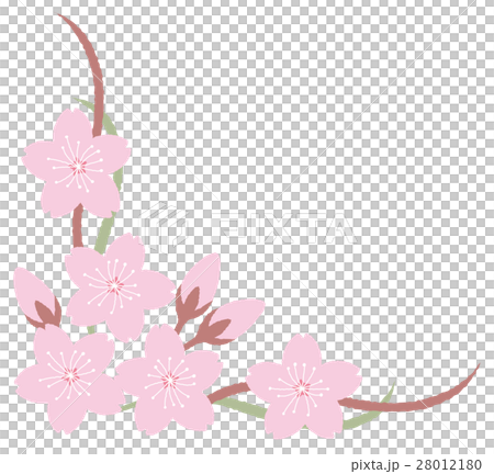 Sakura Sakura Frame - Stock Illustration [28012180] - PIXTA