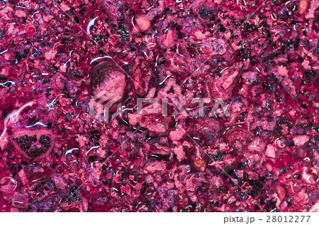 wine stone and yeast closeup . alcohol background wine stone and yeast closeup . alcohol background 28012277