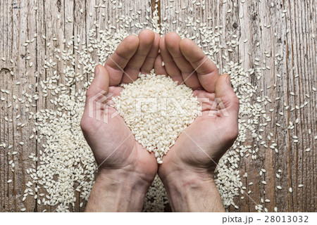 rice rice 28013032