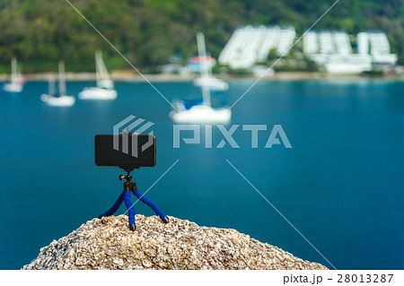 Girl on a palm plantation Girl on a palm plantation 28013287