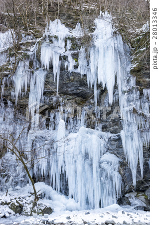 三十槌の氷柱 秩父 三十槌の氷柱 秩父 28013346