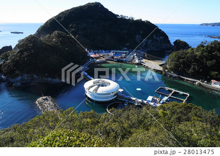 1月　南伊豆16下田海中水族館・下田公園展望 28013475