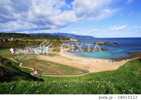 1月 南伊豆55海の青と爪木崎公園 1月 南伊豆55海の青と爪木崎公園 28013522