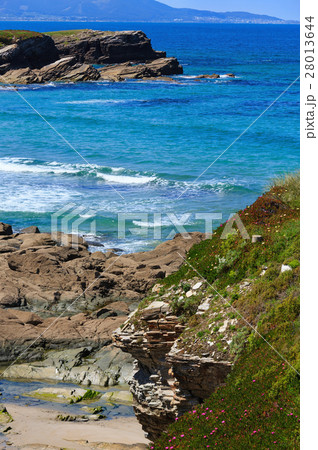 Summer blossoming Atlantic coastline (Galicia). 28013644