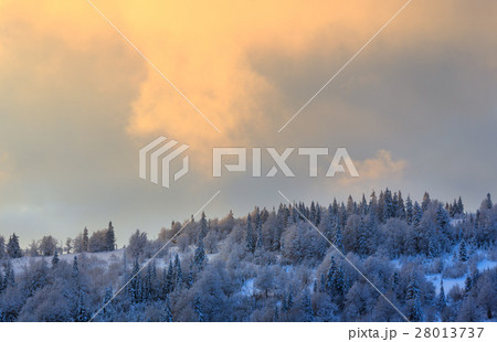 Winter Ukrainian Carpathian Mountains landscape. 28013737