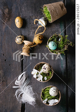 Colorful Easter quail eggs Colorful Easter quail eggs 28015027
