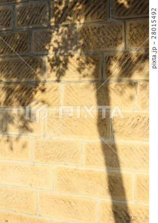 札幌軟石、石壁に映る木のシルエット、木影、背景素材 札幌軟石、石壁に映る木のシルエット、木影、背景素材 28015492