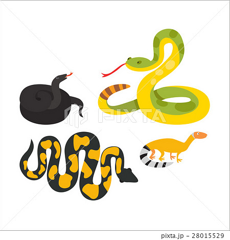 Snake reptile cartoon vector Snake reptile cartoon vector 28015529