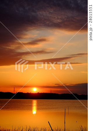印旛沼の夕日 28015551