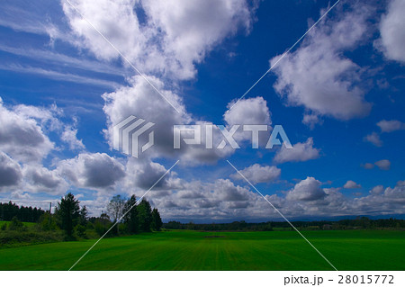 南十勝の気持ち良い風景 28015772