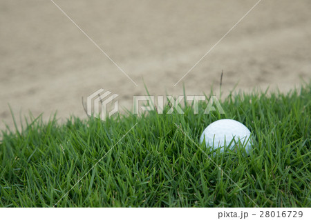 golf ball on the grass near the sand bunker golf ball on the grass near the sand bunker 28016729