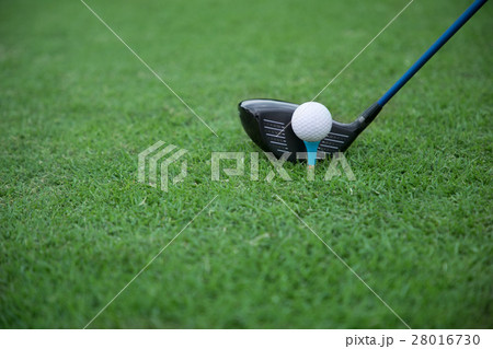 golf club and ball on a tee on a green grass golf club and ball on a tee on a green grass 28016730