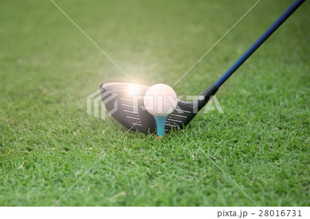 golf club and ball on a tee on a green grass golf club and ball on a tee on a green grass 28016731