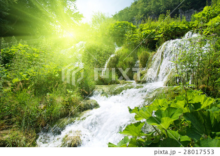 Nature stock images 28017553