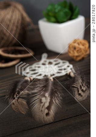 Close up of dream catcher feathers Close up of dream catcher feathers 28017820