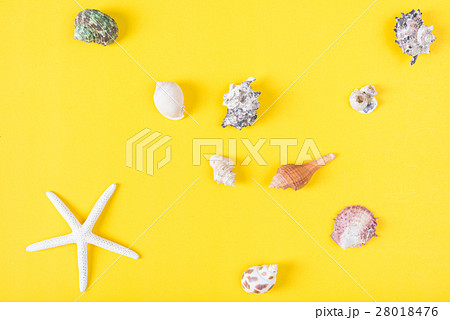 Collection of seashell on yellow background. Collection of seashell on yellow background. 28018476