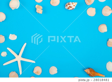 Frame of seashell on blue background. 28018481